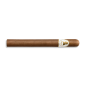 Preview: Davidoff Winston Churchill Churchill