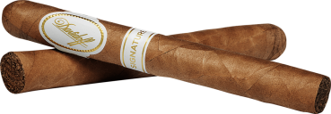 Davidoff Signature 1000