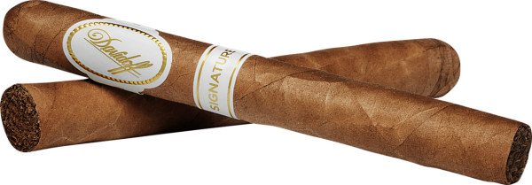 Davidoff Signature 1000