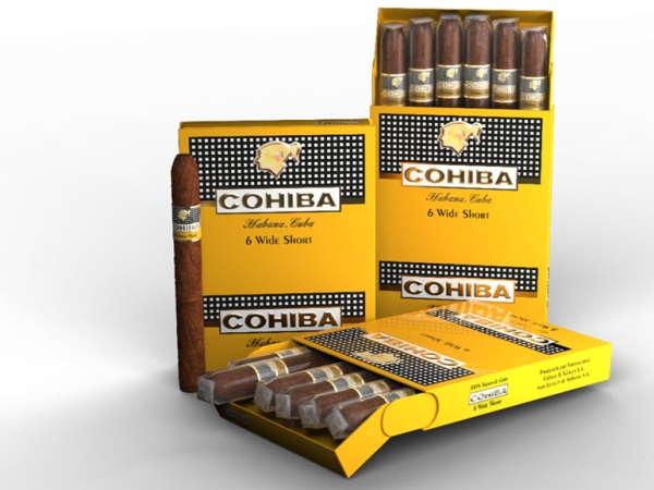 Cohiba Wide Shorts